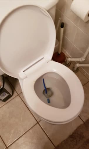 Sewer scope report — obstruction