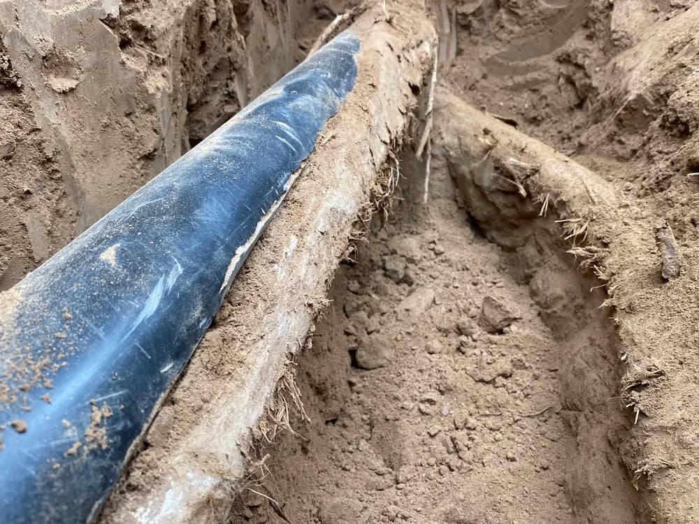 Tree roots in pipes